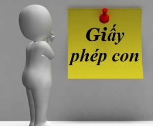 Dịch vụ xin giấy phép